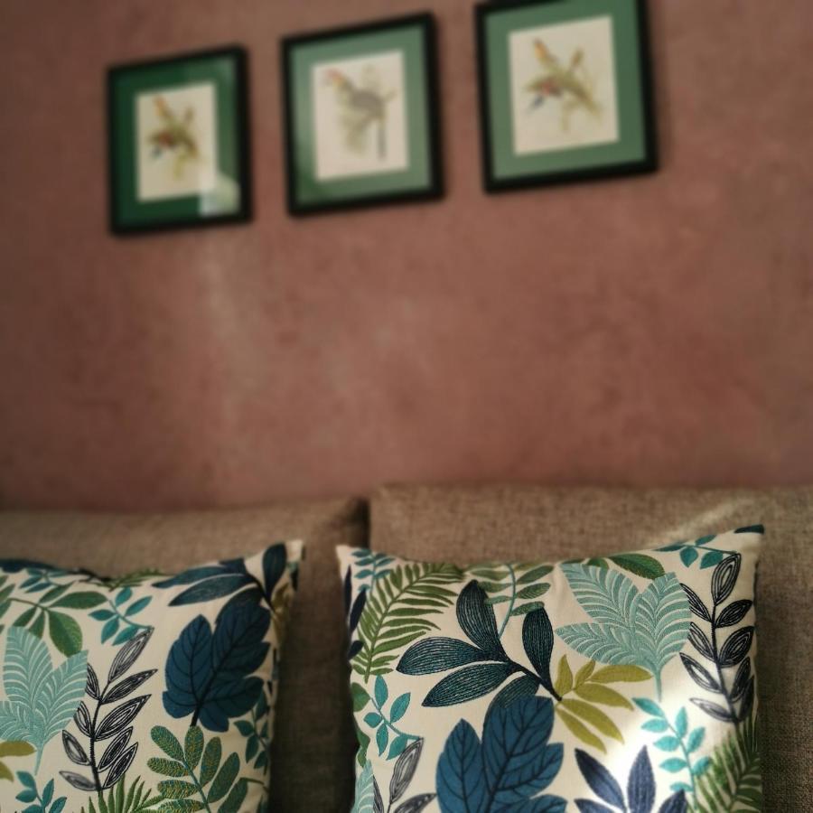 Teddy Pirate - Coliving Hostel Taghazout Ngoại thất bức ảnh